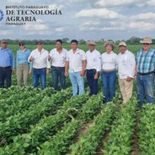 EXPO SOYA 2024 – Lanzamiento de la variedad SOJAPAR R49