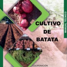 Manual técnico sobre el cultivo de Batata