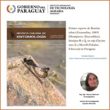 Primer reporte de Bemisia tabaci (Gennadius, 1889) (Hemiptera: Aleyrodidae), biotipos B y Q, en soja Glycine max (L.) Merrill (Fabales: Fabaceae) en Paraguay.