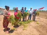 Entrega de semillas de batata producidas por el IPTA a las comunidades de Quenjaclói y Campo Golondrina