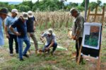 Vitrina Tecnológica del Cultivo de Mandioca