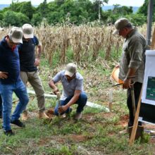 Vitrina Tecnológica del Cultivo de Mandioca